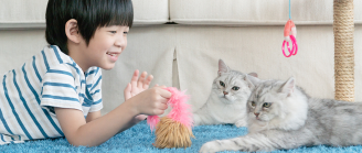 Petit garçon avec ses chats